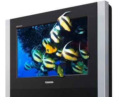 Visual for this record: A 2010 Toshiba TV swapped glasses for nine parallax views