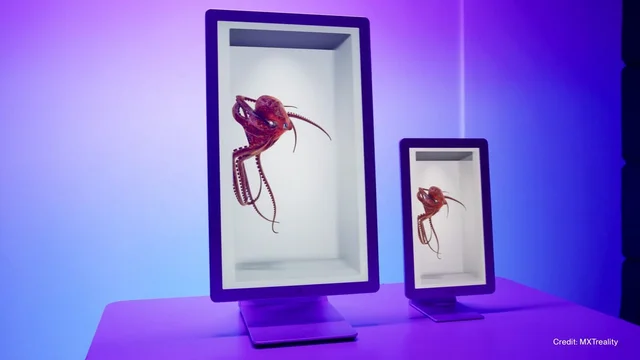 Looking Glass manufacturer image accompanying the 2025 HLD announcement.